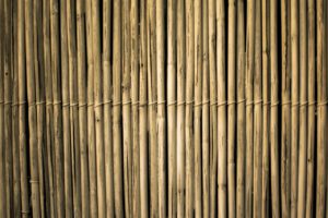 bamboe bekers